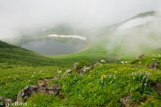 20120729_091400_IB.jpg