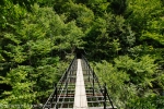 20120916_104135_IB.jpg