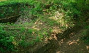 180429_122736.jpg