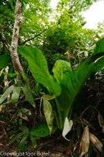 20130702_102853_IB.jpg