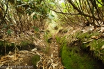 20130702_105854_IB.jpg