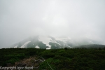 20130702_132307_IB.jpg