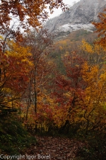 20131027_103538_IB.jpg