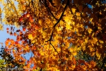 20131028_101136_IB.jpg