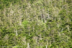 20130720_141617_IB.jpg