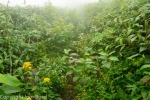 20130811_083925_IB.jpg