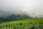 20130811_110442_IB.jpg