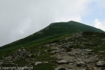 20130811_112930_IB.jpg