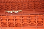 20130630_111644_IB.jpg