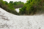 20130630_131110_IB.jpg