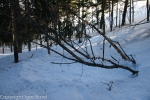 20130503_165516_IB.jpg